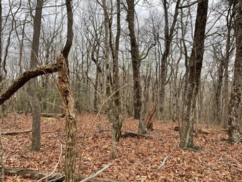 184 Street Andrews Way Ellijay GA 30536