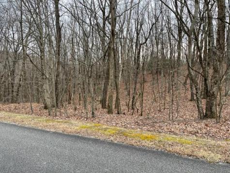 184 Street Andrews Way Ellijay GA 30536