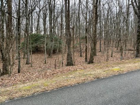 184 Street Andrews Way Ellijay GA 30536