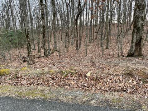 184 Street Andrews Way Ellijay GA 30536