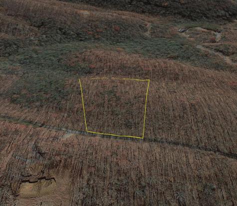 184 Street Andrews Way Ellijay GA 30536