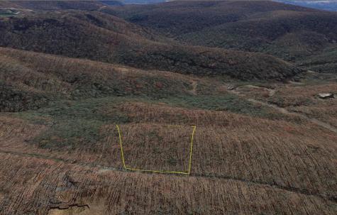 184 Street Andrews Way Ellijay GA 30536