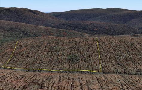 184 Street Andrews Way Ellijay GA 30536