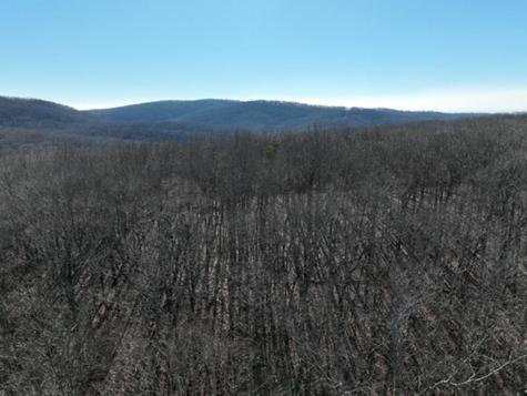 184 Street Andrews Way Ellijay GA 30536