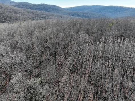 184 Street Andrews Way Ellijay GA 30536