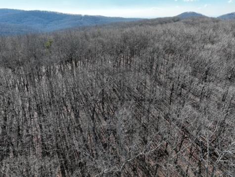 184 Street Andrews Way Ellijay GA 30536