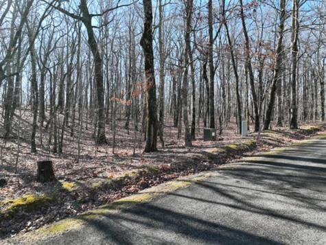 184 Street Andrews Way Ellijay GA 30536