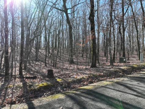 184 Street Andrews Way Ellijay GA 30536