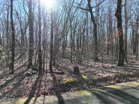 184 Street Andrews Way Ellijay GA 30536