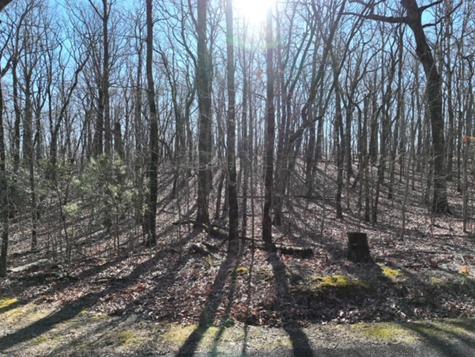 184 Street Andrews Way Ellijay GA 30536