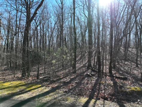 184 Street Andrews Way Ellijay GA 30536