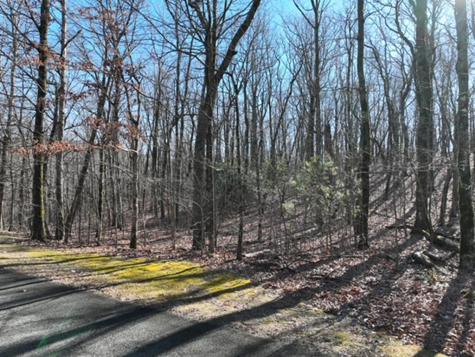 184 Street Andrews Way Ellijay GA 30536