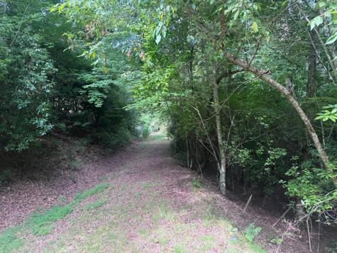 39 Fiddlers Way Brasstown NC 28904