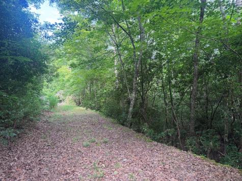 39 Fiddlers Way Brasstown NC 28904