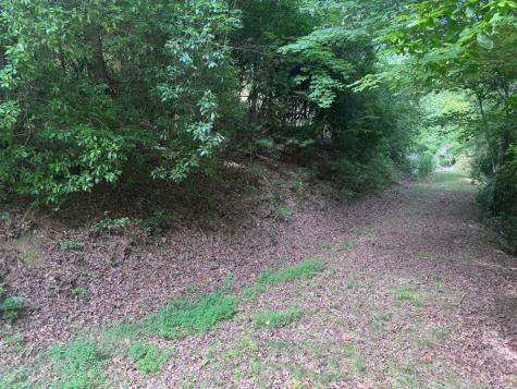 39 Fiddlers Way Brasstown NC 28904
