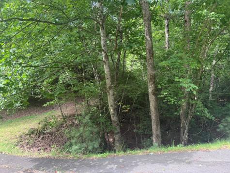 39 Fiddlers Way Brasstown NC 28904