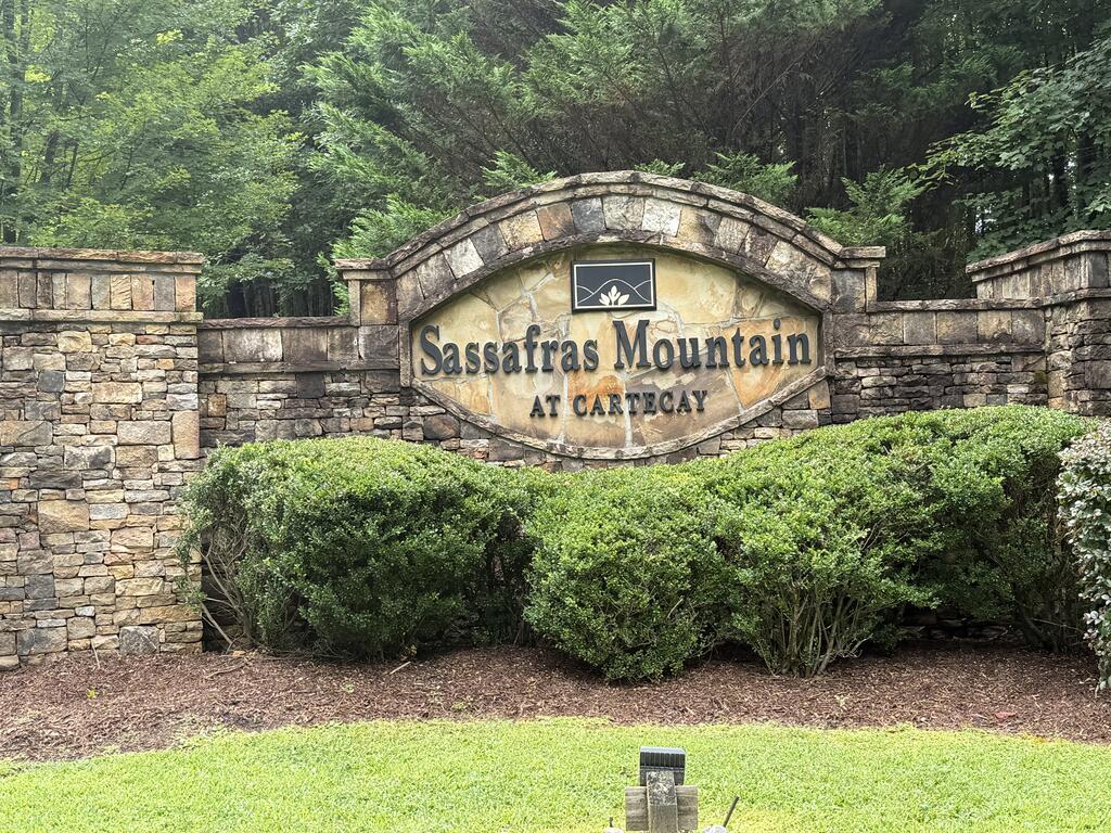 9 Foxpaw Leaf Court East Ellijay GA 30536