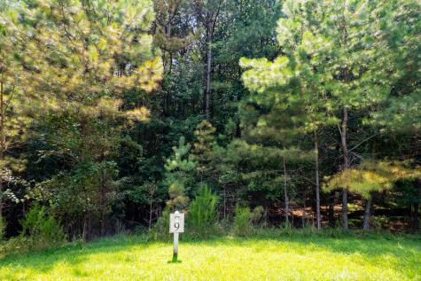 9 Foxpaw Leaf Court East Ellijay GA 30536