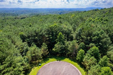 9 Foxpaw Leaf Court East Ellijay GA 30536