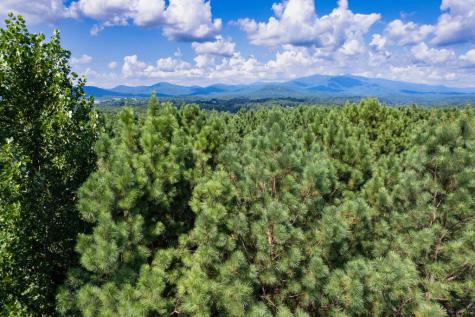 9 Foxpaw Leaf Court East Ellijay GA 30536
