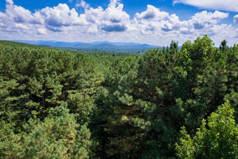 9 Foxpaw Leaf Court East Ellijay GA 30536