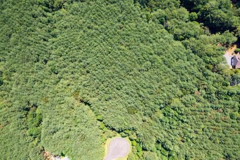 9 Foxpaw Leaf Court East Ellijay GA 30536