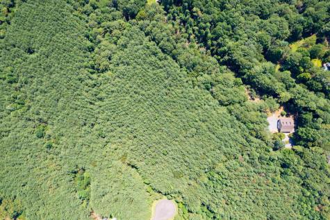 9 Foxpaw Leaf Court East Ellijay GA 30536