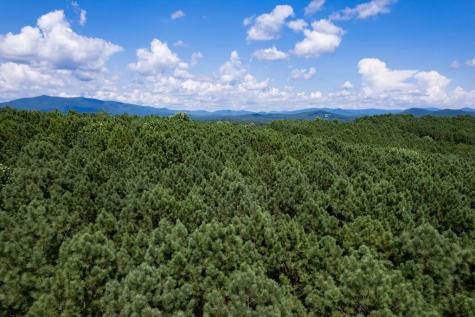 9 Foxpaw Leaf Court East Ellijay GA 30536