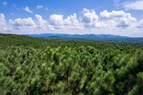 9 Foxpaw Leaf Court East Ellijay GA 30536