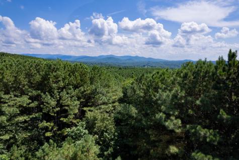 9 Foxpaw Leaf Court East Ellijay GA 30536