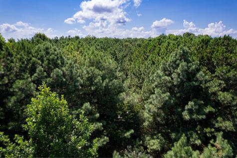 9 Foxpaw Leaf Court East Ellijay GA 30536