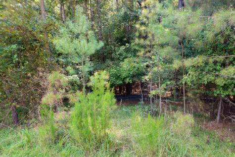 9 Foxpaw Leaf Court East Ellijay GA 30536