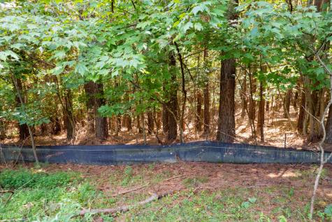 9 Foxpaw Leaf Court East Ellijay GA 30536