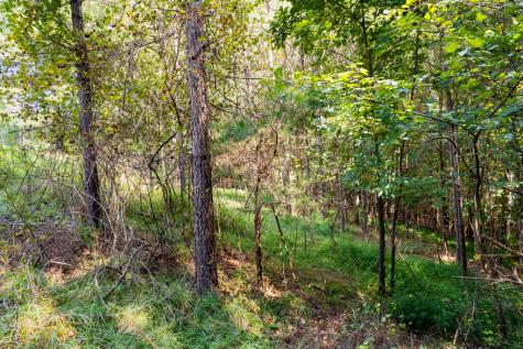 9 Foxpaw Leaf Court East Ellijay GA 30536