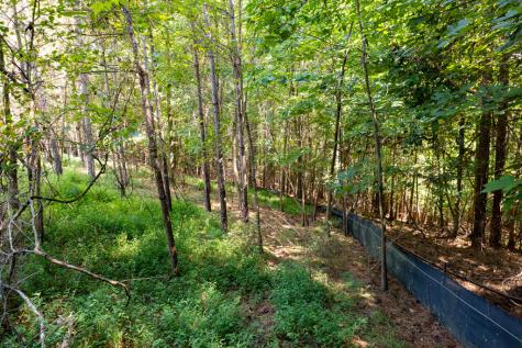 9 Foxpaw Leaf Court East Ellijay GA 30536
