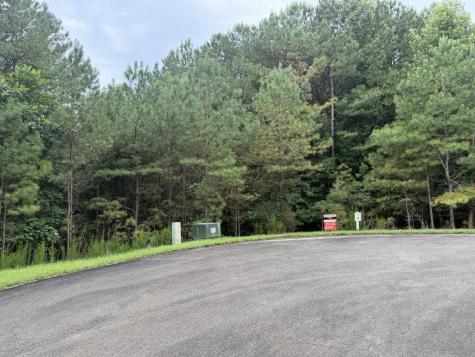9 Foxpaw Leaf Court East Ellijay GA 30536