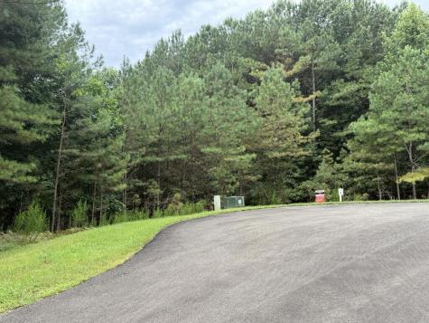 9 Foxpaw Leaf Court East Ellijay GA 30536