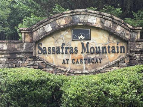 9 Foxpaw Leaf Court East Ellijay GA 30536