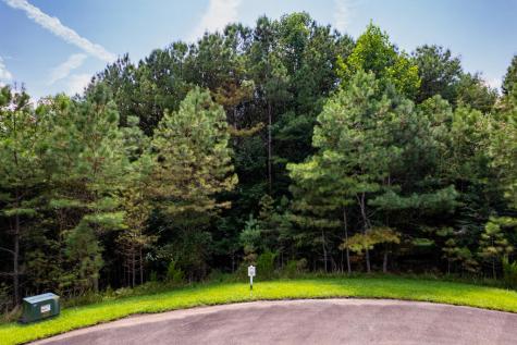 9 Foxpaw Leaf Court East Ellijay GA 30536