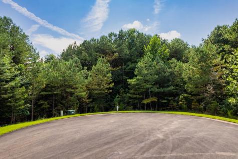 9 Foxpaw Leaf Court East Ellijay GA 30536