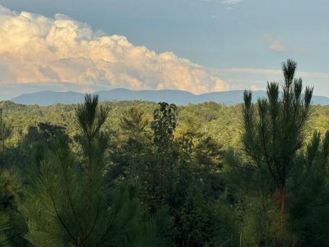 Lt 115 Ridge Wood Trail Ellijay GA 30546