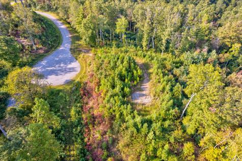 Lt 115 Ridge Wood Trail Ellijay GA 30546