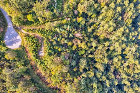 Lt 115 Ridge Wood Trail Ellijay GA 30546