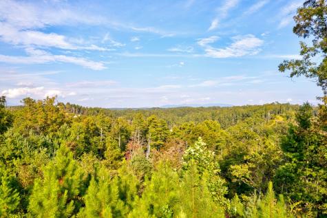 Lt 115 Ridge Wood Trail Ellijay GA 30546