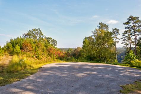 Lt 115 Ridge Wood Trail Ellijay GA 30546