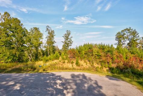 Lt 115 Ridge Wood Trail Ellijay GA 30546