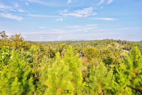 Lt 115 Ridge Wood Trail Ellijay GA 30546