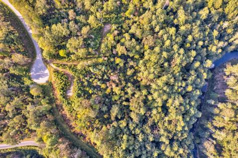 Lt 115 Ridge Wood Trail Ellijay GA 30546