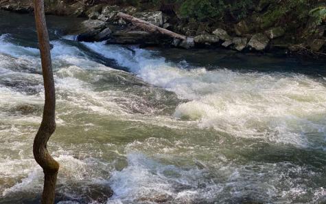 Lt 115 Ridge Wood Trail Ellijay GA 30546