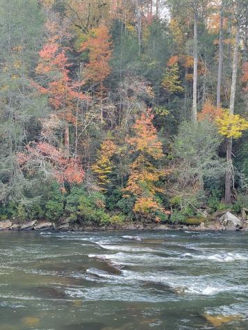 Lt 115 Ridge Wood Trail Ellijay GA 30546